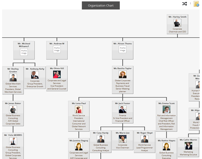 Talygen Online Support - Organization chart